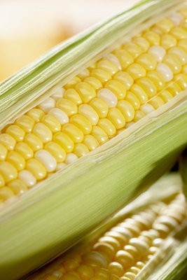 jagung hi corn