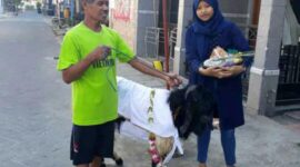 Tradisi Mandikan Hewan Qurban