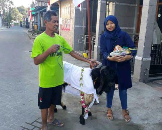 Tradisi Mandikan Hewan Qurban