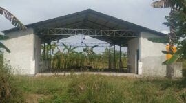 Bagunan  yang rencananya untuk sentral UMKM di  desa Purwodadi Sidayu hingga kini belum diserah terimahkan dan mangkrak.