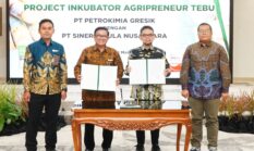 Petrokimia Gresik Dukung Agripreneur Tebu SGN, Cetak Petani Milenial untuk Swasembada Gula