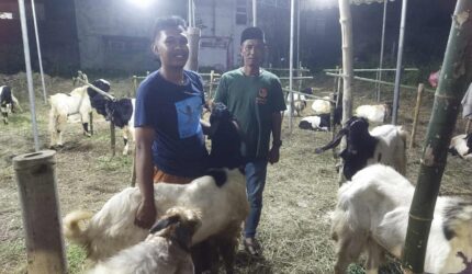 Kandang Sonto Gembolo
