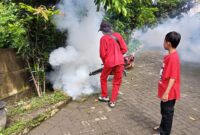“Untuk kasus DBD terhitung dari bulan Januari hingga Mei 2025 mencapai 233 pasien. Nah yang paling banyak di wilayah Kecamatan Kebomas dengan jumlah 48 pasien,”kata Dr. Puspitasari,