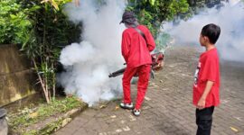 “Untuk kasus DBD terhitung dari bulan Januari hingga Mei 2025 mencapai 233 pasien. Nah yang paling banyak di wilayah Kecamatan Kebomas dengan jumlah 48 pasien,”kata Dr. Puspitasari,