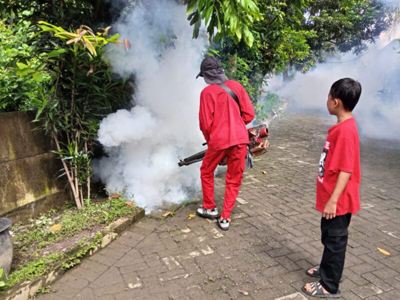“Untuk kasus DBD terhitung dari bulan Januari hingga Mei 2025 mencapai 233 pasien. Nah yang paling banyak di wilayah Kecamatan Kebomas dengan jumlah 48 pasien,”kata Dr. Puspitasari,