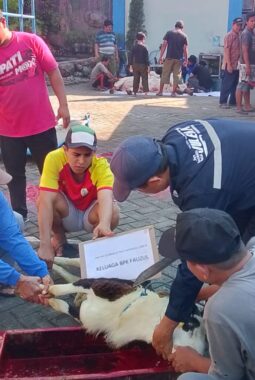 Idul Adha di Spemia Driyorejo Libatkan IPM, dari Penyembelihan hingga Distribusi ke Warga