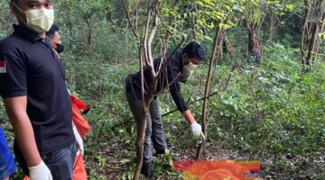 Penemuan Mayat Membusuk di Bukit Desa Suci Gegerkan Warga