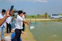 Petani Pamekasan studi tiru budidaya bandeng di Kampung Bandeng Gresik. Hasilnya unggul hingga jadi juara kontes bandeng kawak nasional.
