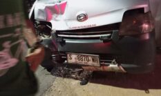 Adu Banteng dengan Mobil Pick Up Pemotor Meninggal di Balongpanggang Gresik
