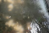 Puluhan ikan sepat mati di drainase depan Kantor Pemkab Gresik diduga akibat limbah rumah tangga atau penyetruman ikan.