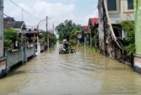 Banjir Menganti merendam ratusan rumah dan fasilitas umum. Tanggul di Kedamean juga jebol. BPBD lakukan pemompaan dan pendirian dapur umum.