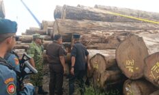 Bos PT BRN Tersangka Illegal Logging Mentawai