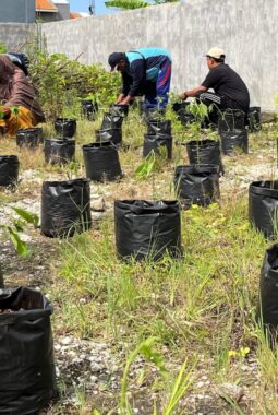 Jadi Bagian dari SIKAP, Smala Dukung Program Ketahanan Pangan