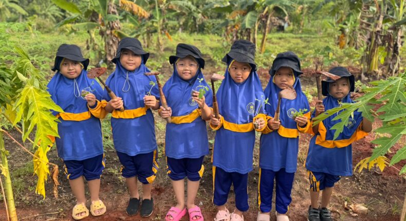 foto slider headline