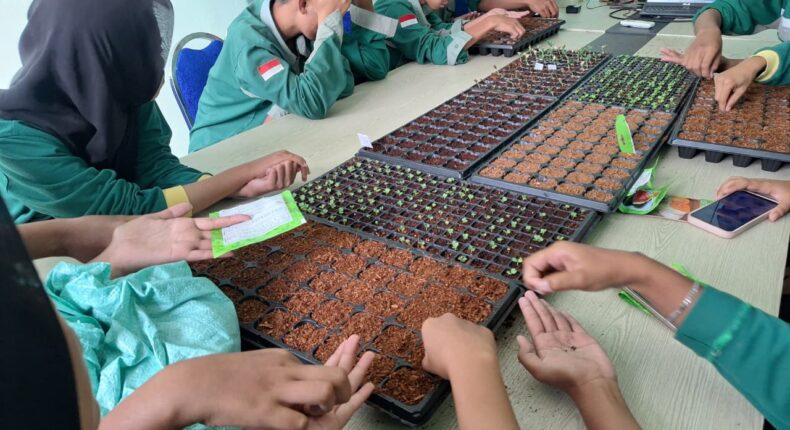 foto slider headline