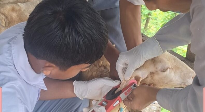 foto slider headline