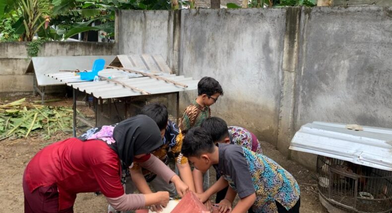 foto slider headline