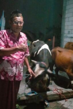 Sabar Menanti, Panitia Kurban Masjid Al Iman Qonaah Mojosarirejo Gresik Sambut Kehadiran Hewan Qurban hingga Malam