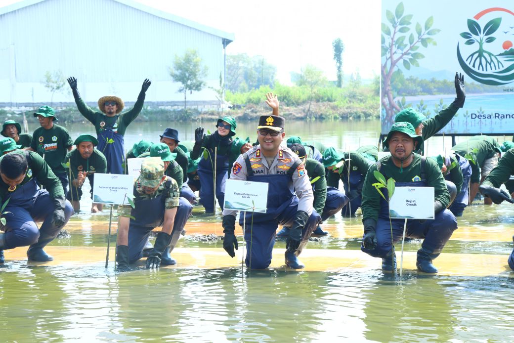 Pejabat di Gresik menanam mangrove di Randuboto Sidayu